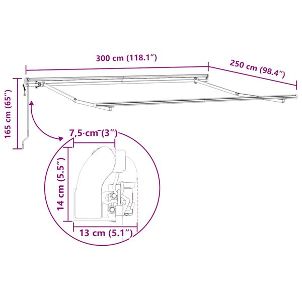 vidaXL Τέντα Πτυσσόμενη Αυτόματη Καφέ 300x250 εκ.