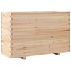 Natural_pine