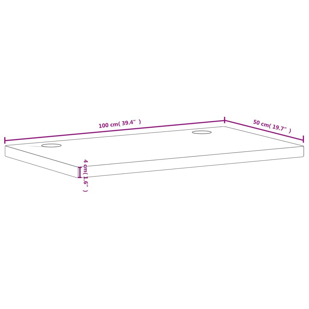 vidaXL Επιφάνεια Γραφείου 100x50x4 εκ. από Μασίφ Ξύλο Οξιάς