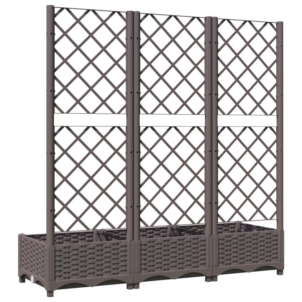 vidaXL Ζαρντινιέρα Κήπου με Καφασωτό Καφέ 120 x 40 x 121,5 εκ. από PP