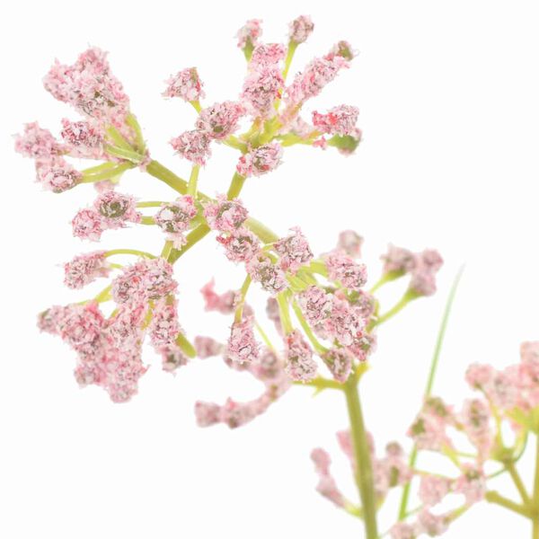 vidaXL Τεχνητή Χλωρίδα 95 cm Πλαστικό