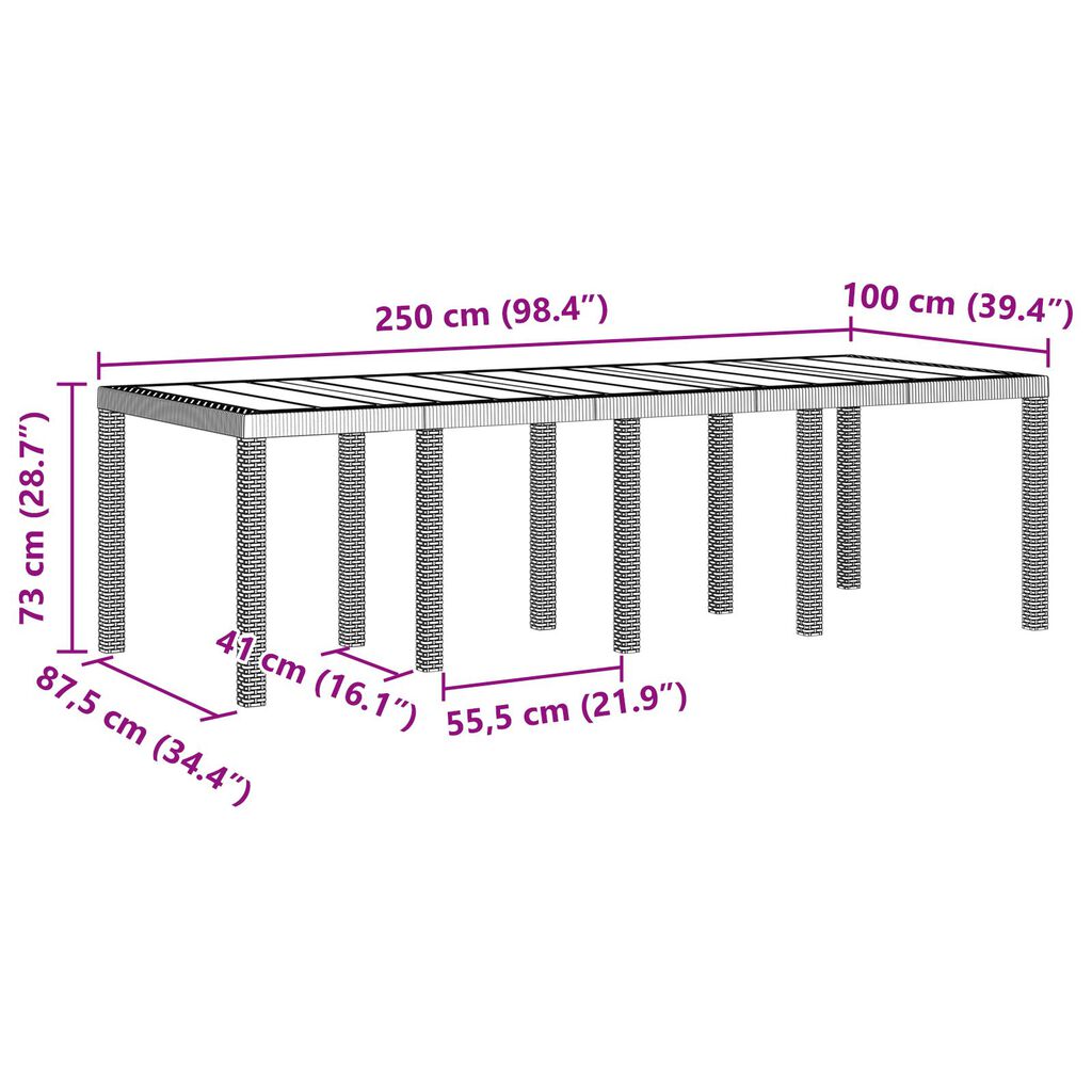 vidaXL Τραπέζι Κήπου Ανοιχτό Γκρι 250x100x73 εκ. Πολυκαρβονικό