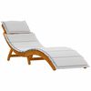 vidaXL Ξαπλώστρα με μαξιλάρι 2 pcs Ανοιχτό γκρι 184 x 55 x 64 εκ
