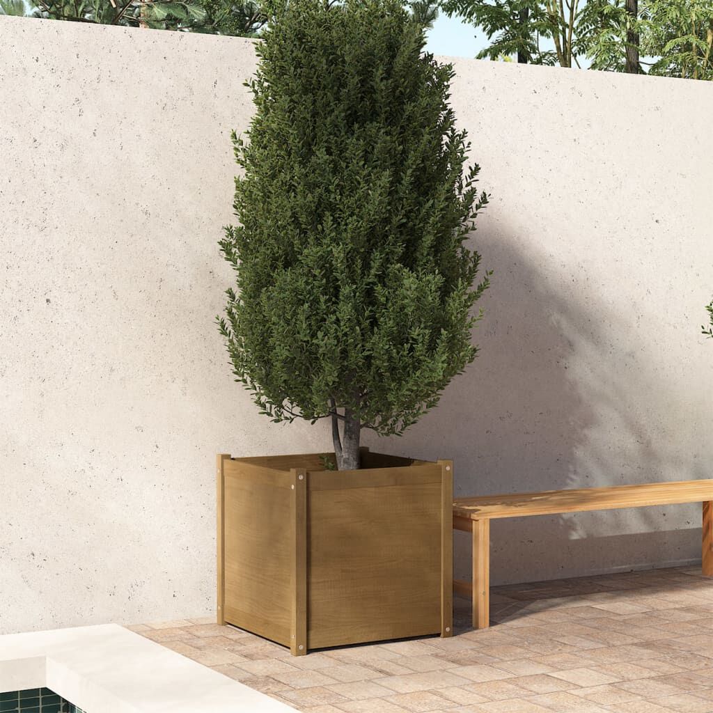 vidaXL Ζαρντινιέρα Καφέ Μελί 60 x 60 x 60 εκ. από Μασίφ Ξύλο Πεύκου