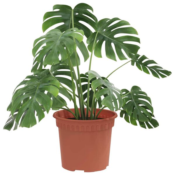 vidaXL &Sigma;&tau;&rho;&omicron;&gamma;&gamma;&upsilon;&lambda;ή &Gamma;&lambda;ά&sigma;&tau;&rho;&alpha; &Lambda;&omicron;&upsilon;&lambda;&omicron;&upsilon;&delta;&iota;ώ&nu; 6 pcs &Kappa;&epsilon;&rho;&alpha;&mu;&iota;&delta;ί &Oslash; 12,5 x 10 &epsilon;&kappa;