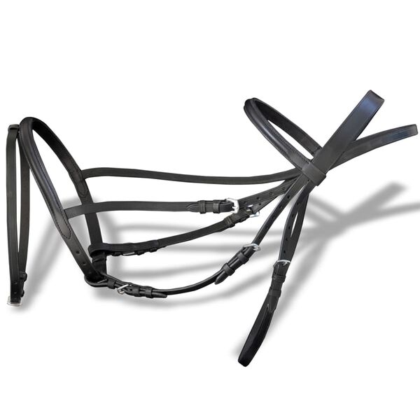 &Pi;&rho;&omicron;&beta;&omicron;&lambda;ή &Phi;&omega;&tau;&omicron;&gamma;&rho;&alpha;&phi;ί&alpha;&sigmaf; &Pi;&rho;&omicron;ϊό&nu;&tau;&omicron;&sigmaf; 2 &alpha;&pi;ό 8