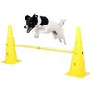 415627 Kerbl 2-in-1 Agility Hurdle Cone Set Yellow 81994