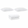 vidaXL Παπλωματοθήκη με Μαξιλάρια με μαξιλάρι 3 pcs Λευκό