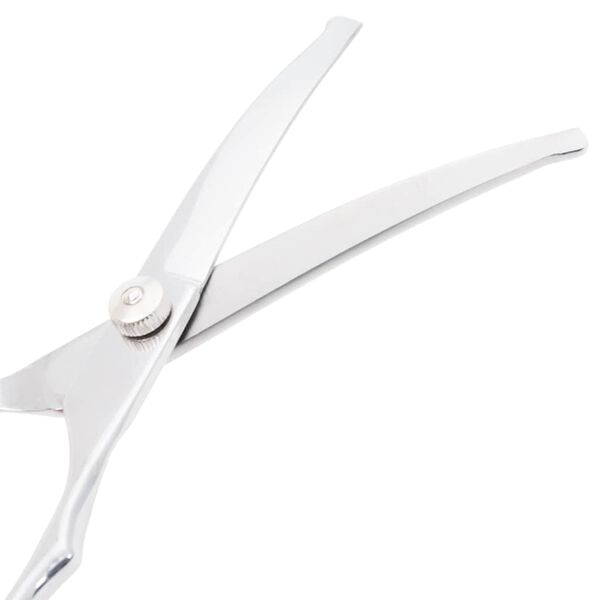 vidaXL Σετ ψαλιδιών περιποίησης σκύλων 6 τεμαχίων από ανοξείδωτο