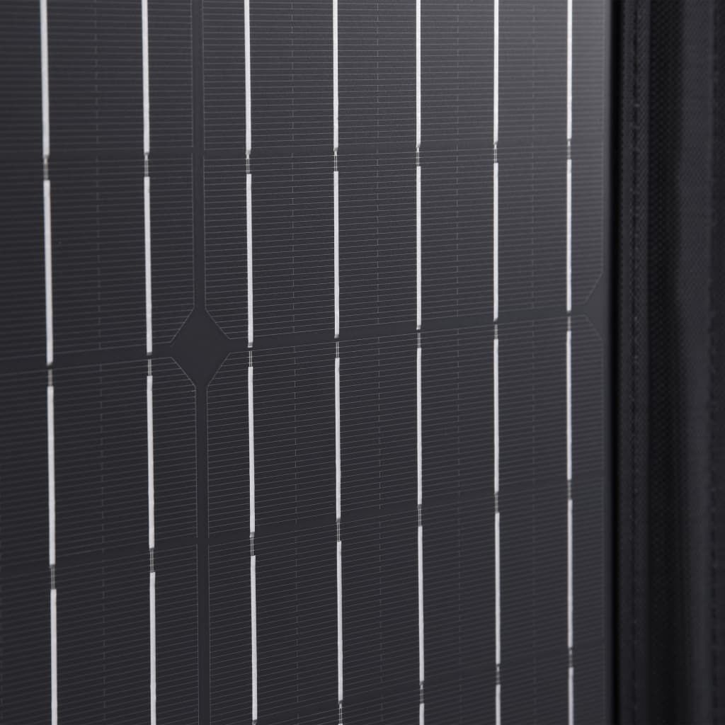 vidaXL Ηλιακός Φορτιστής με Πάνελ Πτυσσόμενος 100 W 12 V