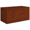 vidaXL &Zeta;&alpha;&rho;&nu;&tau;&iota;&nu;&iota;έ&rho;&alpha; 80x40x40 &epsilon;&kappa;. &alpha;&pi;ό &Alpha;&tau;&sigma;ά&lambda;&iota; Corten