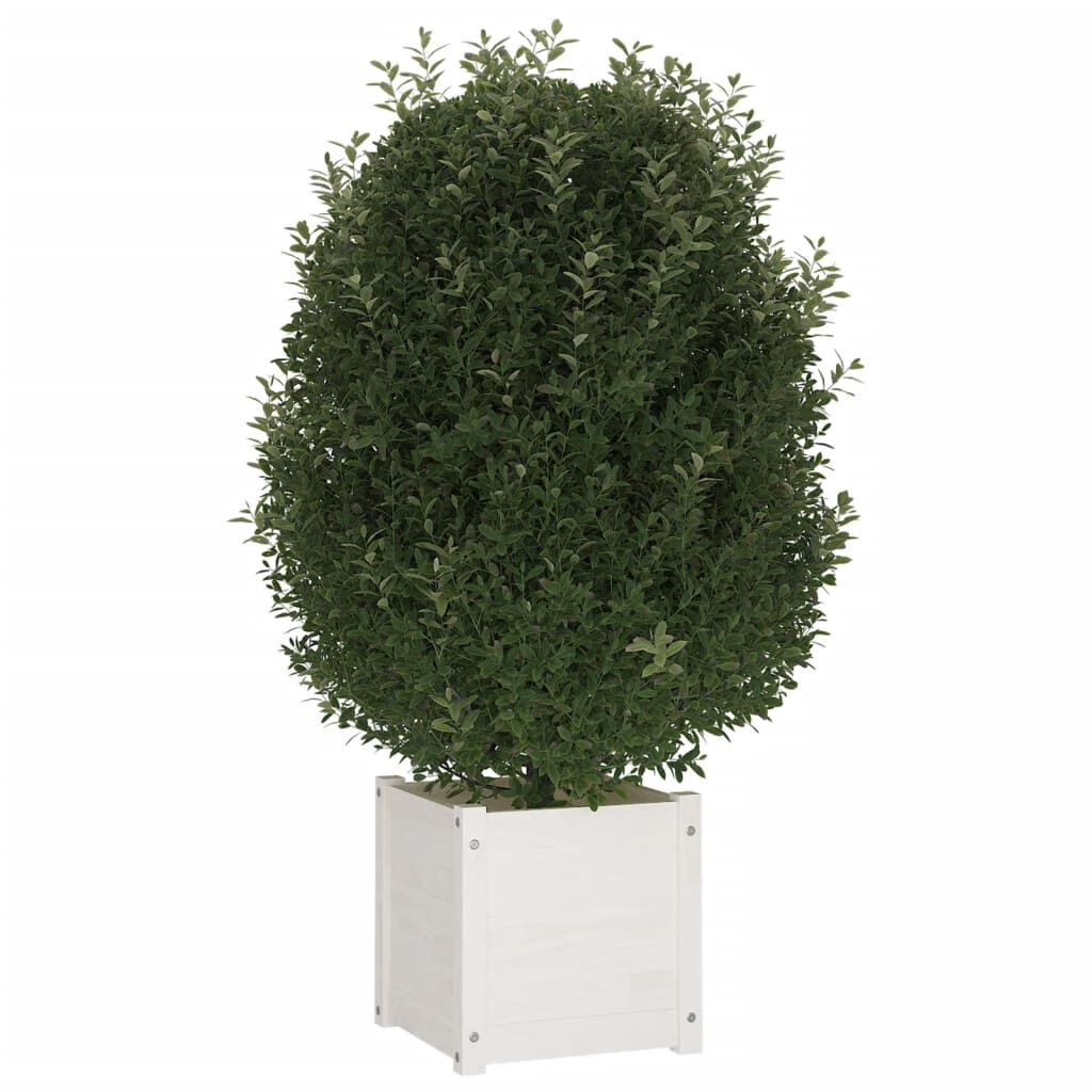 vidaXL Ζαρντινιέρα Λευκή 40 x 40 x 40 εκ. από Μασίφ Ξύλο Πεύκου
