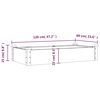 vidaXL Ζαρντινιέρα Υπερυψ. με Επένδυση Γκρι 120x60x25 εκ. Μασίφ Ελάτη