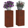 vidaXL &Beta;ά&sigma;&eta; &phi;&upsilon;&tau;ώ&nu; 2 pcs &Sigma;&kappa; rusty 24 x 24 x 55 &epsilon;&kappa;.