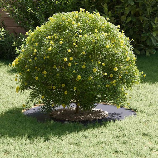 vidaXL &kappa;&alpha;&tau;ά&lambda;&lambda;&eta;&lambda;&omicron; &gamma;&iota;&alpha; &epsilon;&pi;ί&pi;&epsilon;&delta;&alpha; &delta;&alpha;&chi;&tau;&upsilon;&lambda;ί&delta;&iota;&alpha; &delta;έ&nu;&tau;&rho;&omicron;&upsilon; 5 pcs &Alpha;&nu;&theta;&rho;&alpha;&kappa;ί