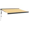 Yellow_and_white_anthracite_frame