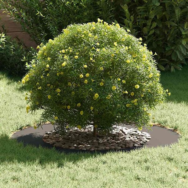 vidaXL &kappa;&alpha;&tau;ά&lambda;&lambda;&eta;&lambda;&omicron; &gamma;&iota;&alpha; &epsilon;&pi;ί&pi;&epsilon;&delta;&alpha; &delta;&alpha;&chi;&tau;&upsilon;&lambda;ί&delta;&iota;&alpha; &delta;έ&nu;&tau;&rho;&omicron;&upsilon; 5 pcs &Mu;&alpha;ύ&rho;&omicron; &Oslash;50 / 80 &epsilon;&kappa;.