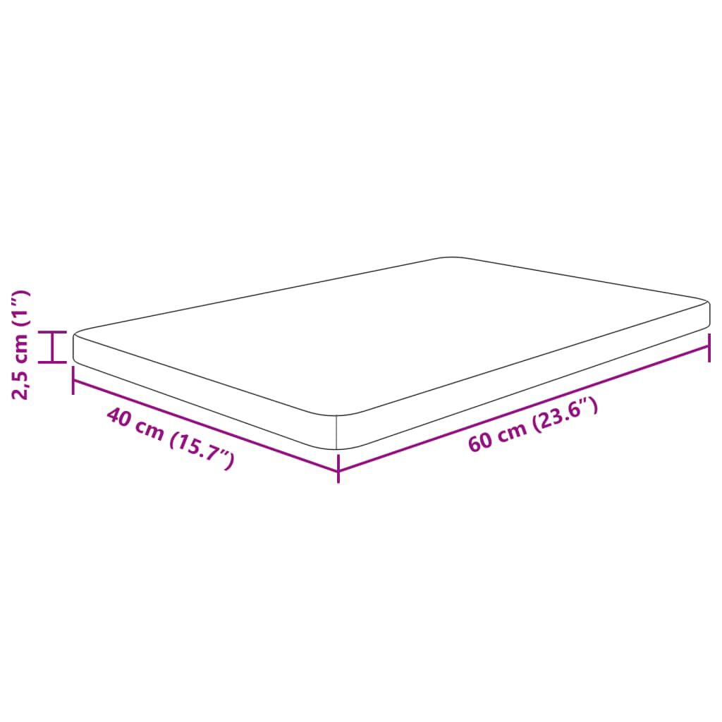 vidaXL Πάγκος Μπάνιου 60 x 40 x 2,5 εκ. Ακατέργαστο Μασίφ Ξύλο