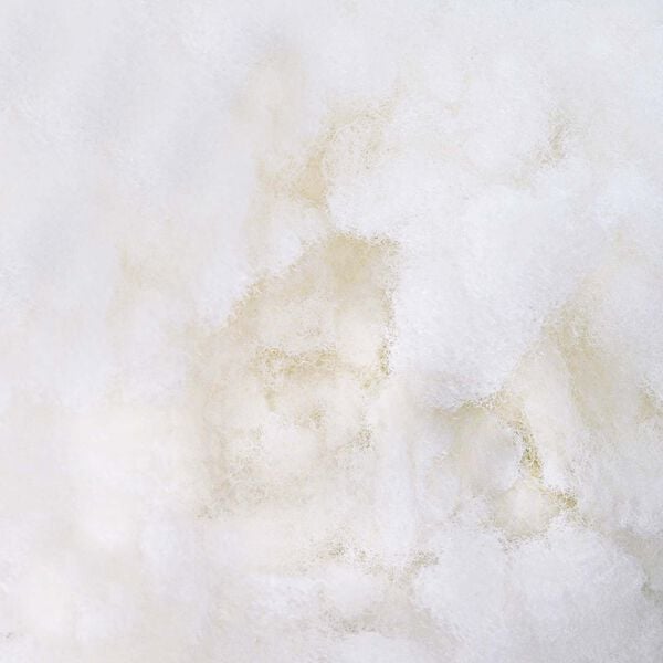 vidaXL &Gamma;έ&mu;&iota;&sigma;&eta; Ί&nu;&alpha;&sigmaf; &Lambda;&epsilon;&upsilon;&kappa;ό&sigmaf; 2,5 kg &Pi;&omicron;&lambda;&upsilon;&epsilon;&sigma;&tau;έ&rho;&alpha;&sigmaf;