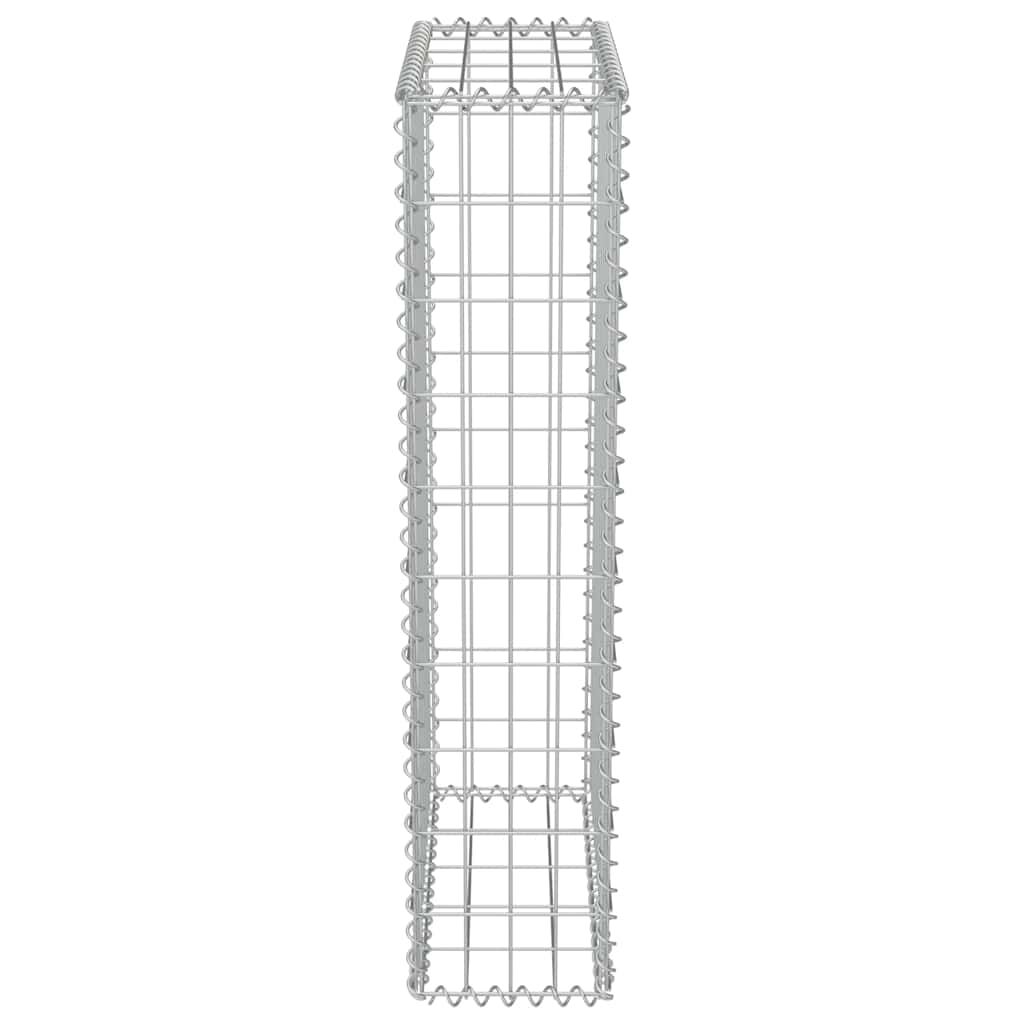 vidaXL Συρματοκιβώτιο Τοίχος 50x20x100 εκ. Γαλβαν.Χάλυβας + Καλύμματα