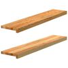 vidaXL &Pi;&epsilon;&rho;&beta;ά&zeta;&iota;&alpha; &pi;&alpha;&rho;&alpha;&theta;ύ&rho;&omega;&nu; 2 &tau;&epsilon;&mu;. &Alpha;&nu;. &Kappa;&alpha;&phi;έ 100x20x2&epsilon;&kappa;. &Mu;&alpha;&sigma;ί&phi; &Xi;ύ&lambda;&omicron; &Delta;&rho;&upsilon;ό&sigmaf;