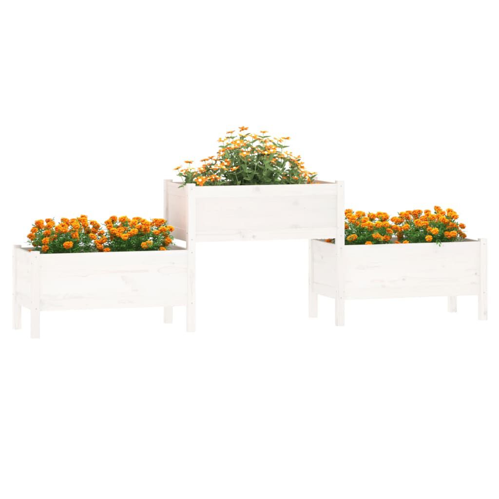 vidaXL Ζαρντινιέρα Λευκή 245,5x44x75 εκ. από Μασίφ Ξύλο Πεύκου