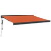 Orange_and_black