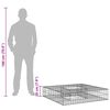 vidaXL &Alpha;&nu;&alpha;&sigma;&eta;&kappa;&omega;&mu;έ&nu;&omicron; &kappa;&rho;&epsilon;&beta;ά&tau;&iota; gabion &Alpha;&sigma;&eta;&mu;ί 100 x 100 x 20 cm