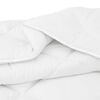 vidaXL Χειμερινό Παπλωματοθήκη 3 pcs Λευκό 240 x 200 cm Μικροΐνες