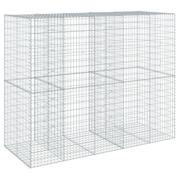 vidaXL Συρματοκιβώτιο με Κάλυμμα 250x100x200εκ από Γαλβανισμένο Χάλυβα