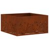 vidaXL &Phi;&omega;&tau;&iota;ά &Kappa;&omicron;&upsilon;&beta;ά &Sigma;&kappa; rusty 60 x 60 x 30 cm &Alpha;&tau;&sigma;ά&lambda;&iota; &Sigma;&kappa;&lambda;&eta;&rho;&upsilon;&theta;έ&nu; &sigma;&tau;&omicron;&nu; &Alpha;έ&rho;&alpha;