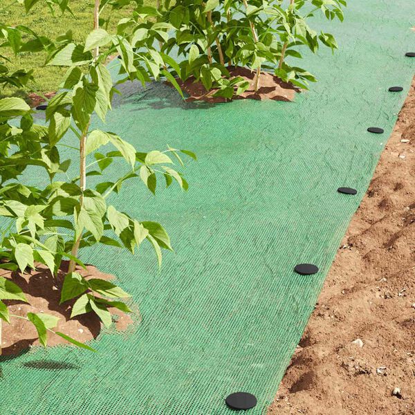 vidaXL &Pi;&lambda;&alpha;&sigma;&tau;&iota;&kappa;&omicron;ί &Pi;&epsilon;&gamma; 500 pcs &Mu;&alpha;ύ&rho;&omicron; &Oslash;3 x 11 &epsilon;&kappa; &Pi;&lambda;&alpha;&sigma;&tau;&iota;&kappa;ό