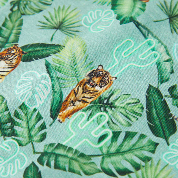 &Mu;&pi;&lambda;&omicron;&upsilon;&zeta;ά&kappa;&iota; &Pi;&alpha;&iota;&delta;&iota;&kappa;ό &Alpha;&nu;&omicron;&iota;&chi;&tau;ό &Pi;&rho;ά&sigma;&iota;&nu;&omicron; &Mu;&epsilon;&lambda;&alpha;&nu;&zeta;έ 116