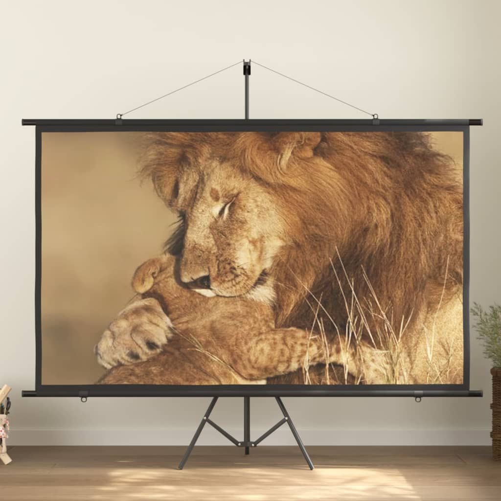 vidaXL Οθόνη Προβολής με Τρίποδο 100'' 16:9