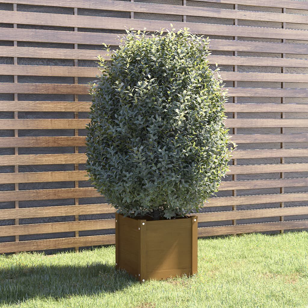 vidaXL Ζαρντινιέρα Μελί 40 x 40 x 40 εκ. από Μασίφ Ξύλο Πεύκου