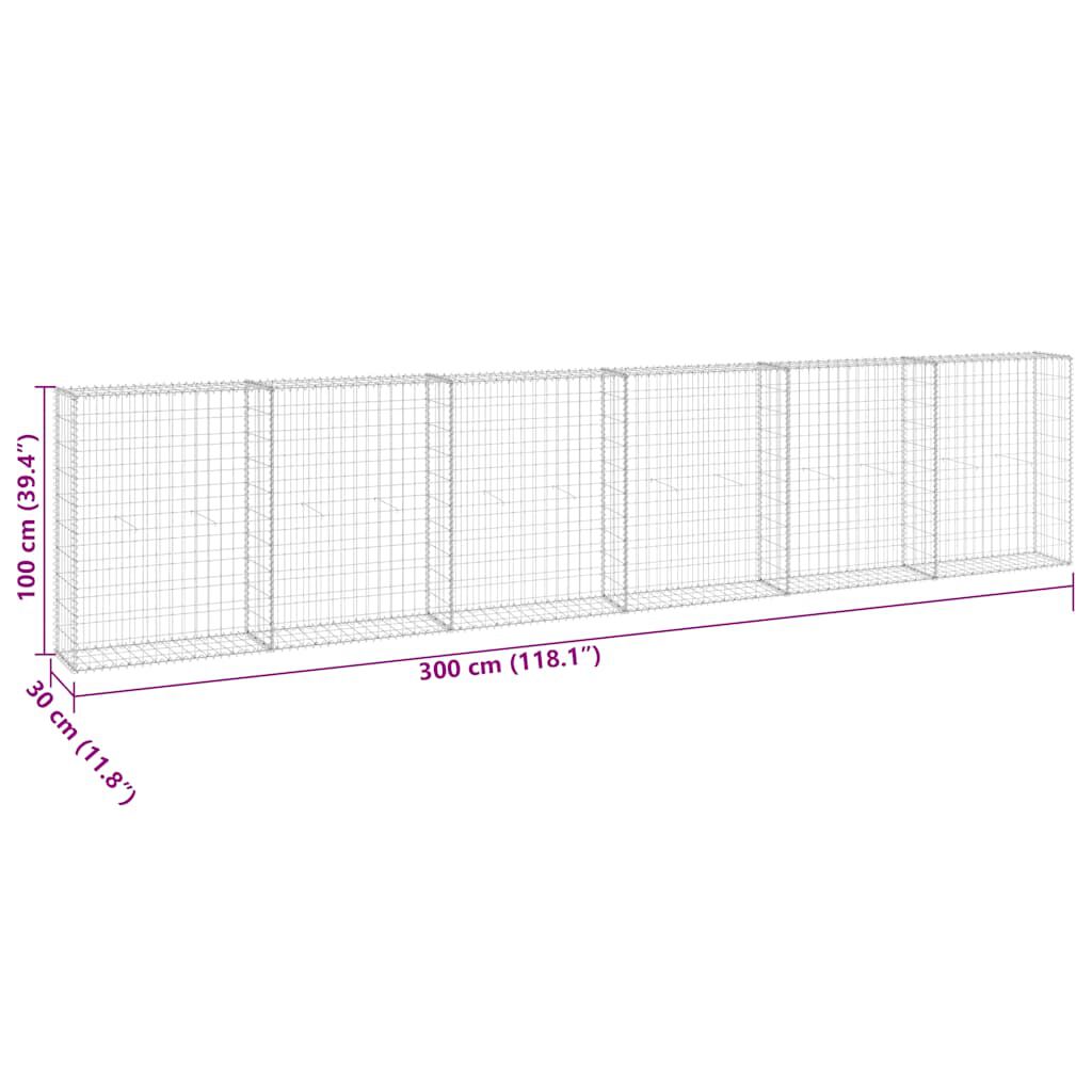 vidaXL Συρματοκιβώτιο Τοίχος 300x30x100 εκ. Γαλβαν.Χάλυβας + Καλύμματα