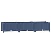 Blue_grey