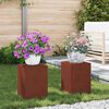 vidaXL &Beta;ά&sigma;&eta; &phi;&upsilon;&tau;ώ&nu; 2 pcs &Sigma;&kappa; rusty 24 x 24 x 35 &epsilon;&kappa;.