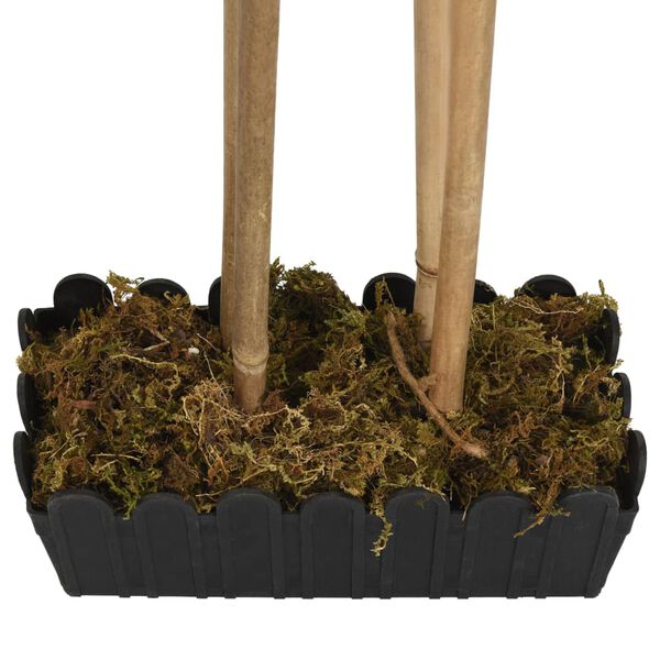 &Pi;&rho;&omicron;&beta;&omicron;&lambda;ή &Phi;&omega;&tau;&omicron;&gamma;&rho;&alpha;&phi;ί&alpha;&sigmaf; &Pi;&rho;&omicron;ϊό&nu;&tau;&omicron;&sigmaf; 4 &alpha;&pi;ό 5