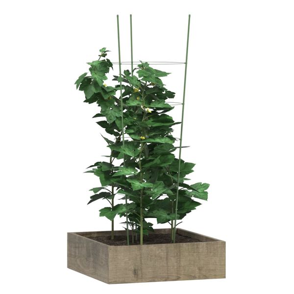 &Pi;&rho;&omicron;&beta;&omicron;&lambda;ή &Phi;&omega;&tau;&omicron;&gamma;&rho;&alpha;&phi;ί&alpha;&sigmaf; &Pi;&rho;&omicron;ϊό&nu;&tau;&omicron;&sigmaf; 3 &alpha;&pi;ό 8