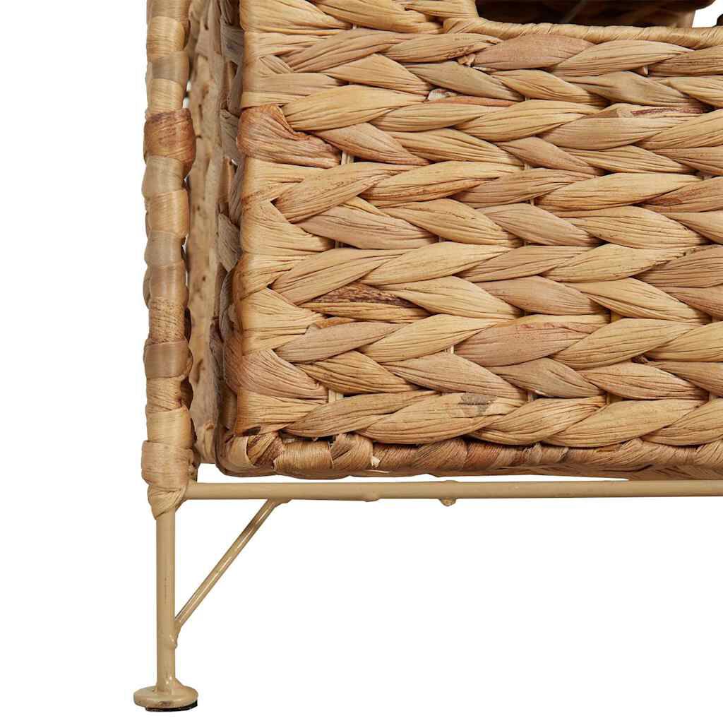 vidaXL Συρταριέρα με 5 Καλάθια 25,5x37x100 εκ. από Υάκινθο του Νερού