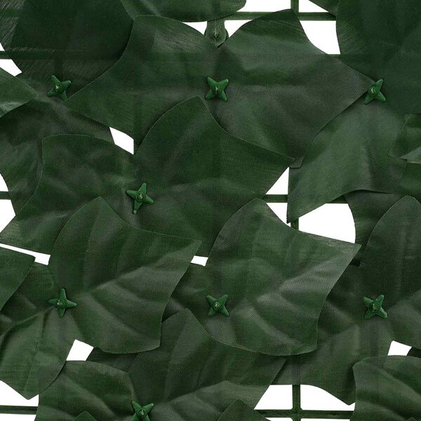 &Pi;&rho;&omicron;&beta;&omicron;&lambda;ή &Phi;&omega;&tau;&omicron;&gamma;&rho;&alpha;&phi;ί&alpha;&sigmaf; &Pi;&rho;&omicron;ϊό&nu;&tau;&omicron;&sigmaf; 4 &alpha;&pi;ό 6