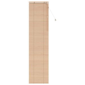 vidaXL &Beta;&epsilon;&nu;&epsilon;&tau;&sigma;&iota;ά&nu;&iota;&kappa;&eta; &Sigma;&kappa;ί&alpha;&sigma;&eta; Ό&psi;&eta; &Delta;&rho;ύ&sigmaf; 55 x 250 &epsilon;&kappa;. 35 mm