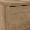vidaXL &Nu;&tau;&omicron;&upsilon;&lambda;ά&pi;&alpha; &Pi;&alpha;&pi;&omicron;&upsilon;&tau;&sigma;&iota;ώ&nu; &mu;&epsilon; &sigma;&upsilon;&rho;&tau;ά&rho;&iota; Artisan Oak 100,5 x 28 x 100 &epsilon;&kappa;