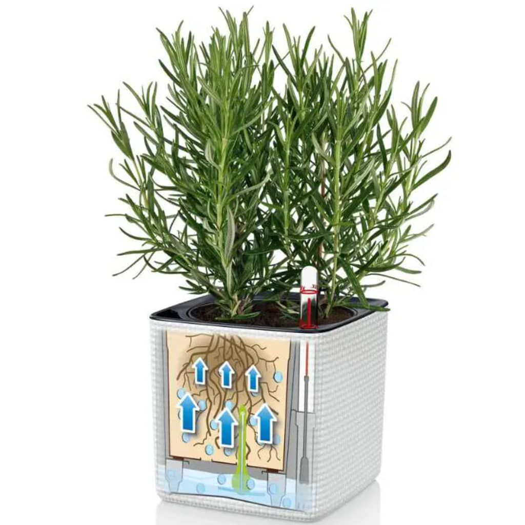 LECHUZA Γλάστρες Green Wall Home Kit 3 τεμ. Λευκό