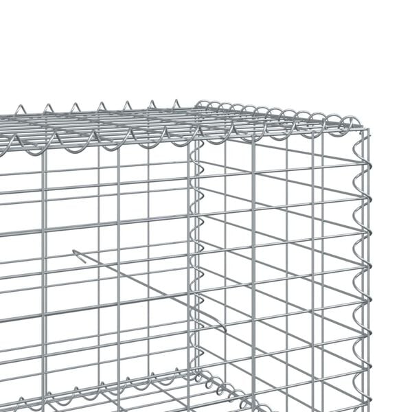 vidaXL Συρματοκιβώτιο με Κάλυμμα 1100x100x50εκ από Γαλβανισμένο Χάλυβα