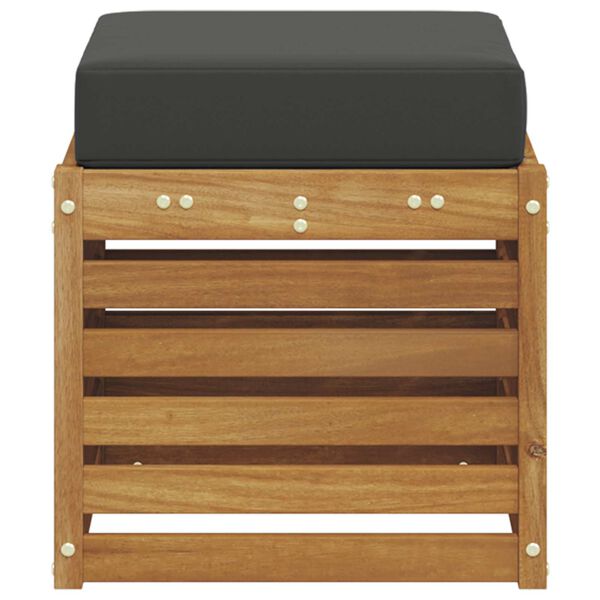 vidaXL &Pi;ά&gamma;&kappa;&omicron;&sigmaf; 2 &Tau;&epsilon;&mu;ά&chi;&iota;&omicron; &Phi;&upsilon;&sigma;&iota;&kappa;ό &kappa;&alpha;&iota; &Alpha;&nu;&theta;&rho;&alpha;&kappa;ί &Sigma;&tau;&epsilon;&rho;&epsilon;ό &Xi;ύ&lambda;&omicron; &Alpha;&kappa;&alpha;&kappa;ί&alpha;&sigmaf;