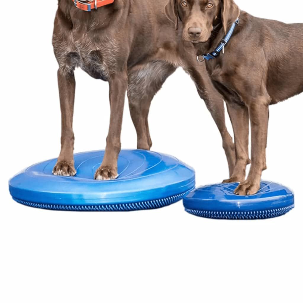 FitPAWS Δίσκος Ισορροπίας Κατοικιδίου 36 εκ. Μπλε
