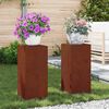 vidaXL &Beta;ά&sigma;&eta; &phi;&upsilon;&tau;ώ&nu; 2 pcs &Sigma;&kappa; rusty 24 x 24 x 55 &epsilon;&kappa;.