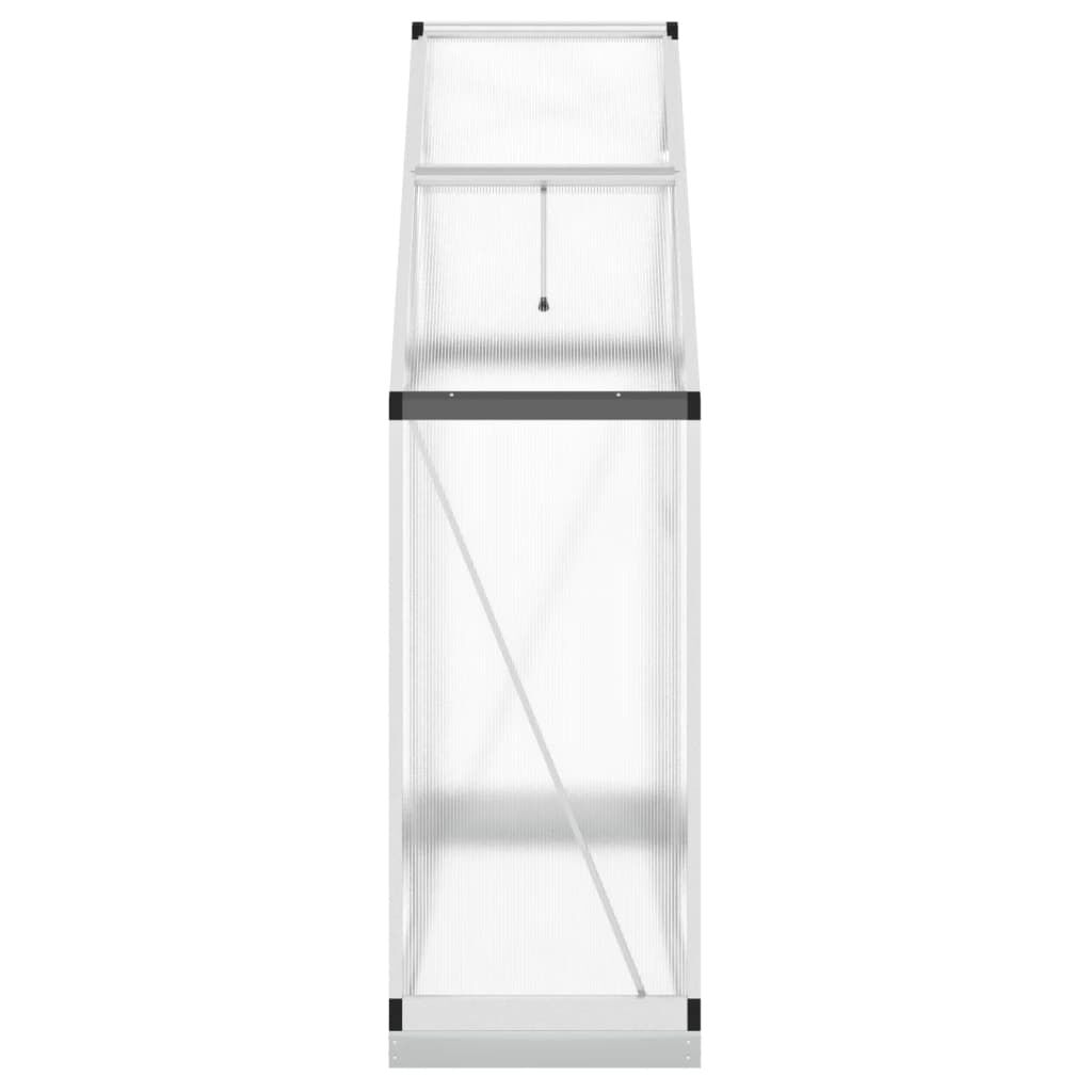 vidaXL Θερμοκήπιο με Πλαίσιο Βάσης Ασημί 169x58x202 εκ. Αλουμίνιο